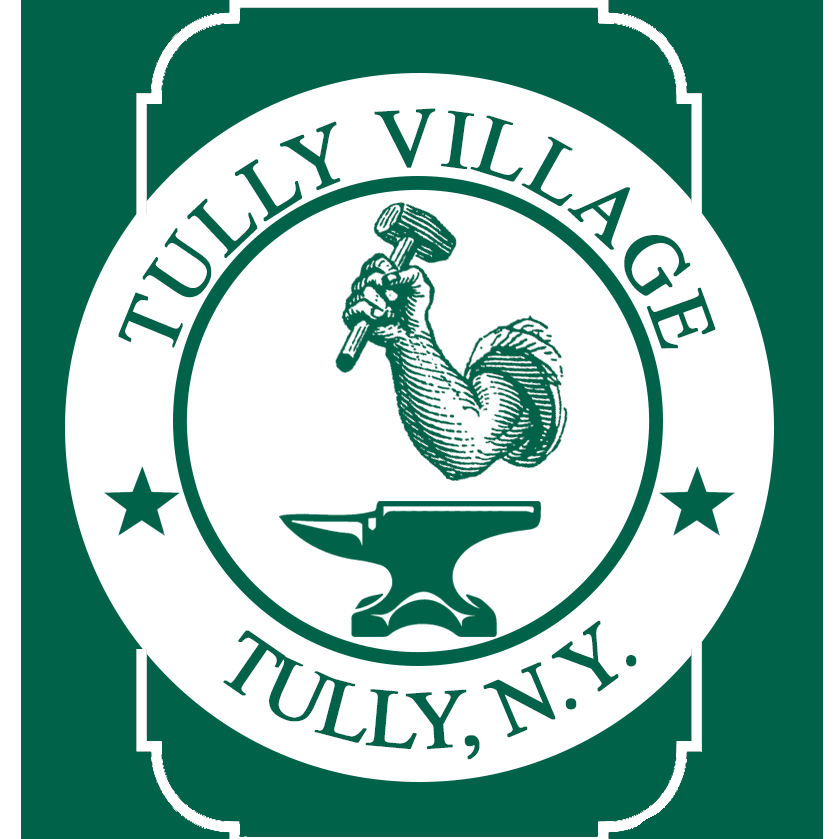 Village of Tully home